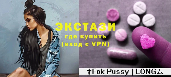 индика Бородино