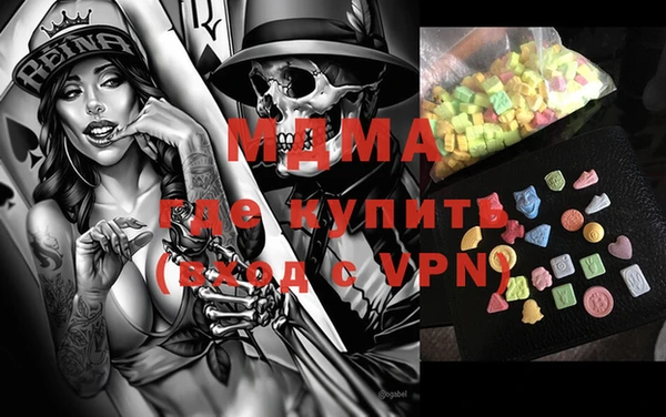 индика Бородино