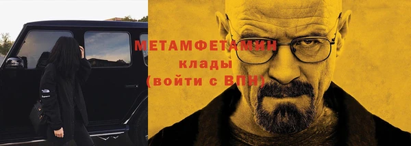 индика Бородино