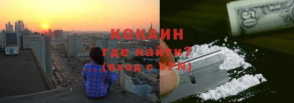 индика Бородино