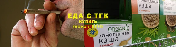 индика Бородино