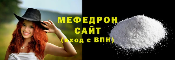 индика Бородино