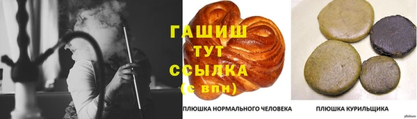 индика Бородино