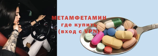 индика Бородино