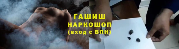 индика Бородино