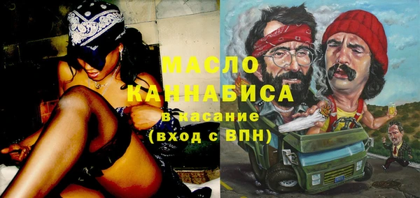 индика Бородино