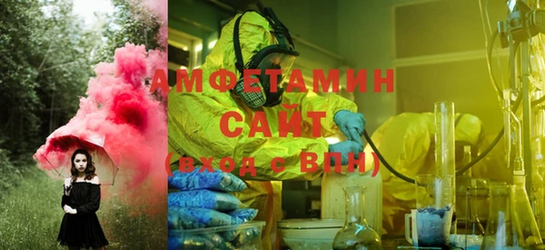spice Инта