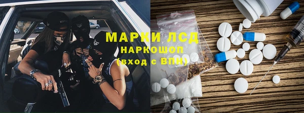 индика Бородино