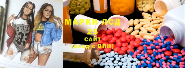 индика Бородино