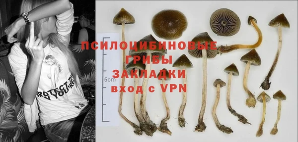 прущие крисы Костерёво