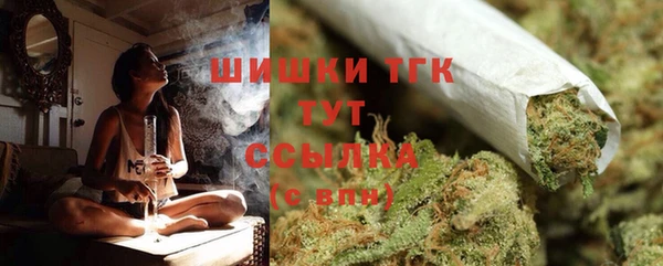 индика Бородино