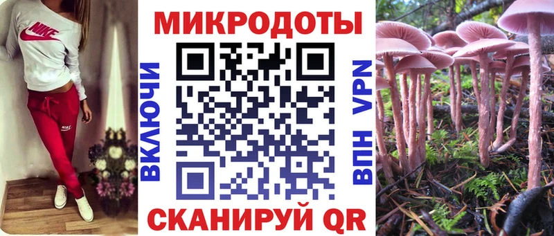 гидра ссылки  Дегтярск  Псилоцибиновые грибы ЛСД  цена наркотик 